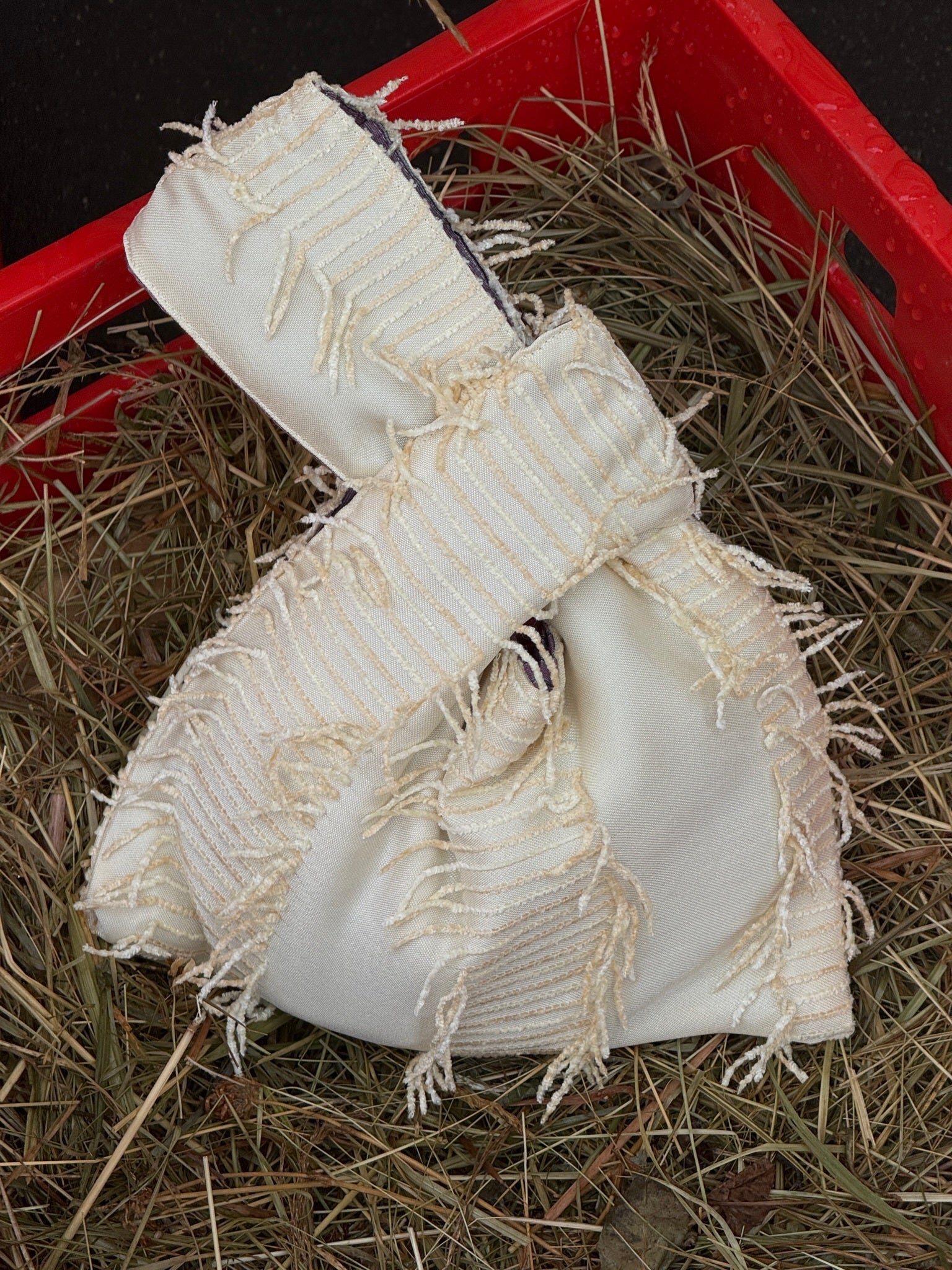 Chick